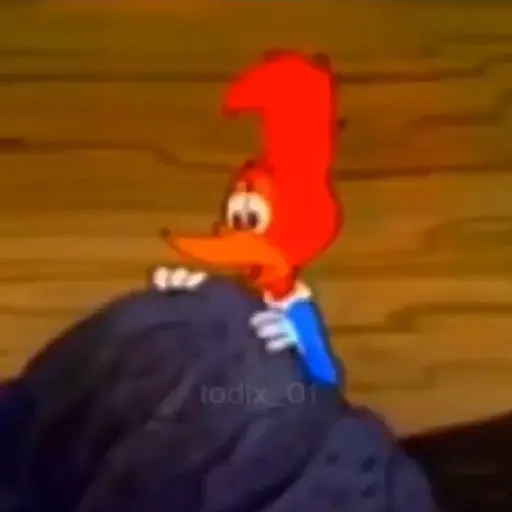 Memes animados Tiktok