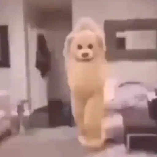 Gatitos y Rana Triste