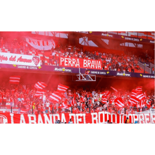 Toluca fc  preview