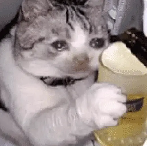 Pa la peda 😎