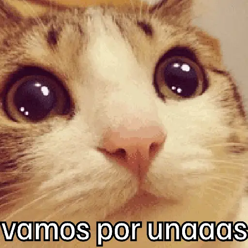 Pa la peda 😎