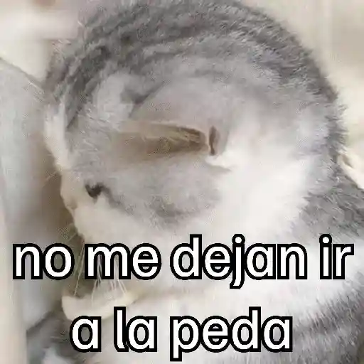 Pa la peda 😎