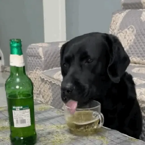 Pa la peda 😎