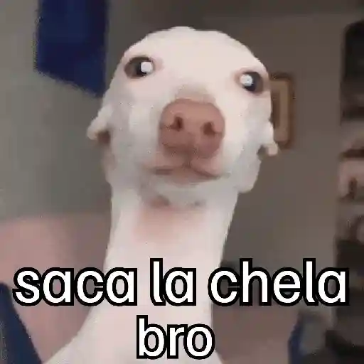 Pa la peda 😎
