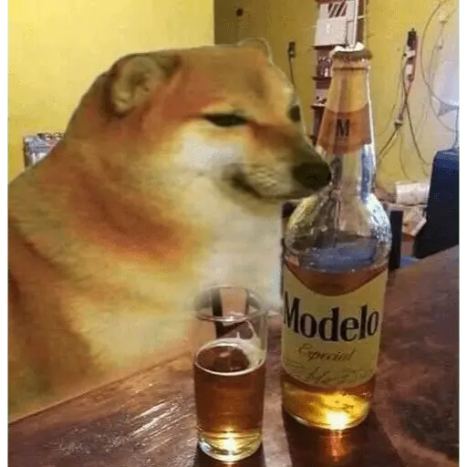Memes pa la peda🍻🔑