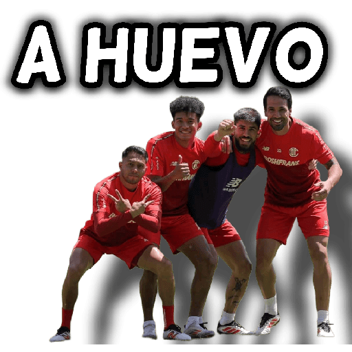 Toluca ⚽👑 preview