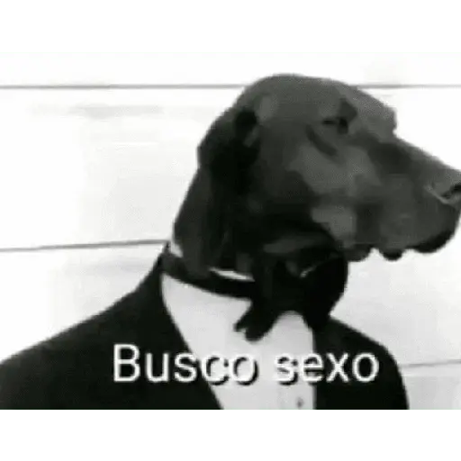 Meme. | @ocenferios  𝐇aki.