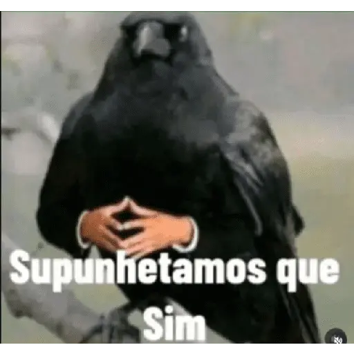 Meme. | @ocenferios  𝐇aki.