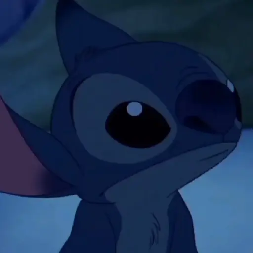 Stitch. | @ocenferios  𝐇aki.