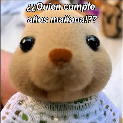 ❤️ TERNURINES MEMES 🔝