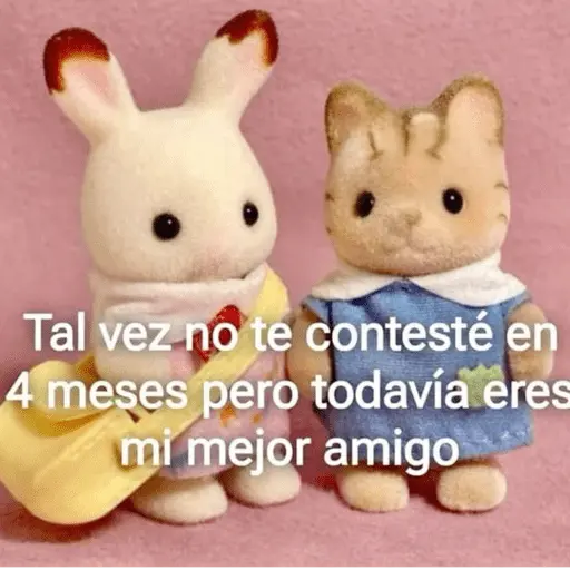 ❤️ TERNURINES MEMES 🔝
