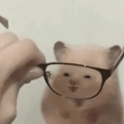🐹 HAMSTERCITOSSS 🐹