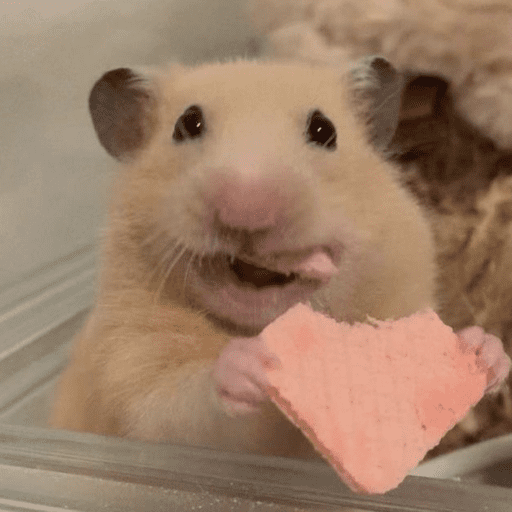 🐹 HAMSTERCITOSSS 🐹 preview