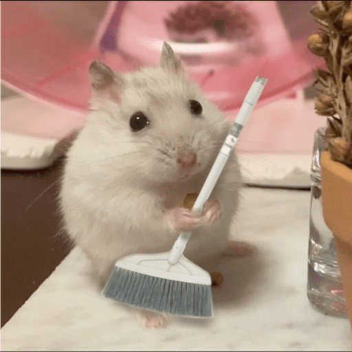 🐹 HAMSTERCITOSSS 🐹 preview