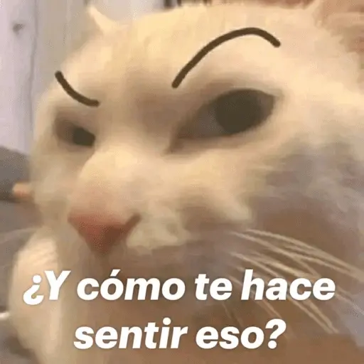 Memes pal chat🤎