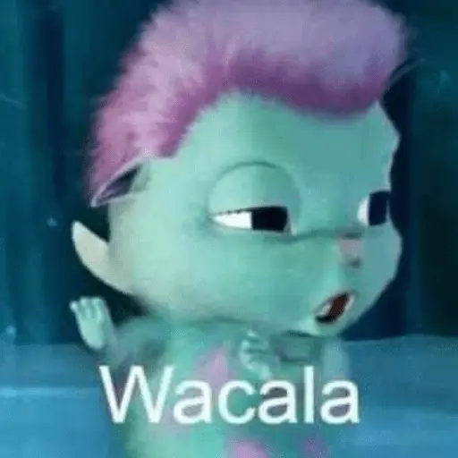 Memes pal chat🤎