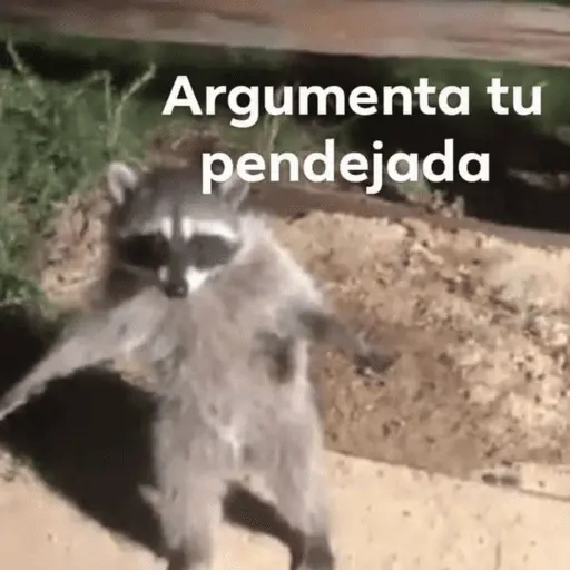 Memes pal chat🤎
