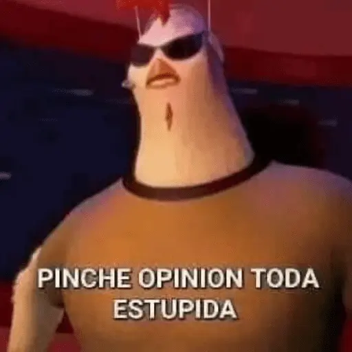 Memes pal chat🤎