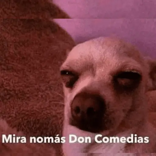 Memes pal chat🤎