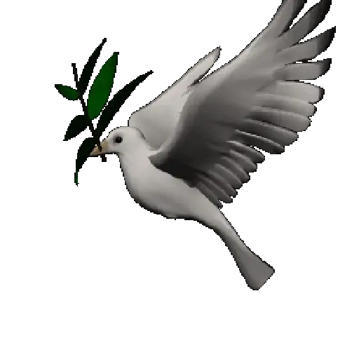 🕊🪺 Paloma MIGAJERA 🪺🕊 preview