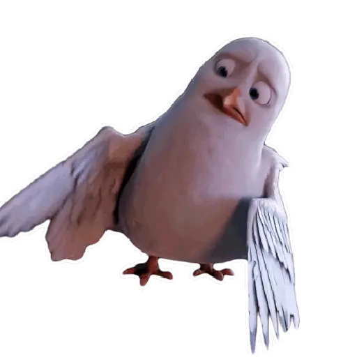 🕊🪺 Paloma MIGAJERA 🪺🕊