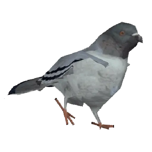 🕊🪺 Paloma MIGAJERA 🪺🕊