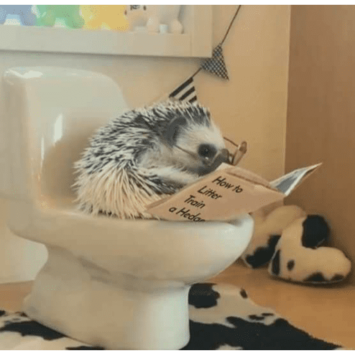 🦔 ERIZO MOODS 🦔 preview