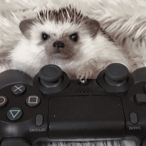 🦔 ERIZO MOODS 🦔 preview