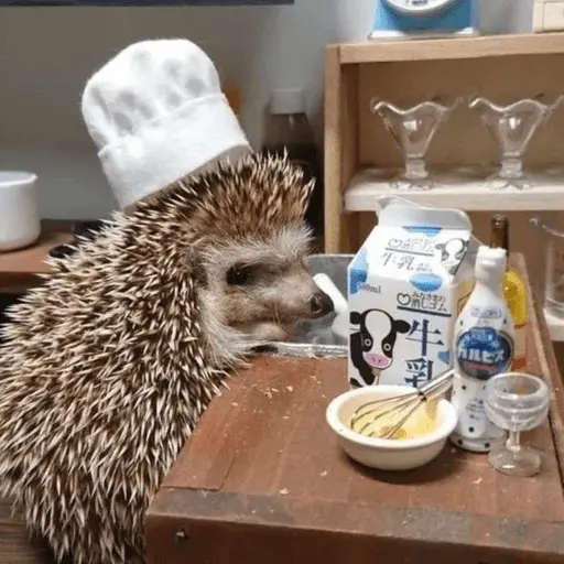 🦔 ERIZO MOODS 🦔