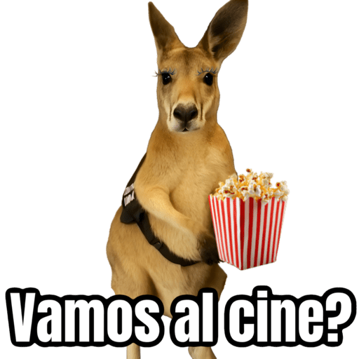 🦘Memes canguro 🦘😂 preview