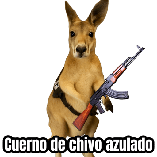 🦘Memes canguro 🦘😂 preview