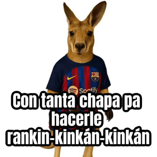 🦘Memes canguro 🦘😂