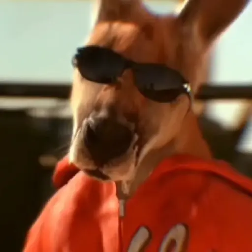 🦘 Canguro Tiktok 🔥