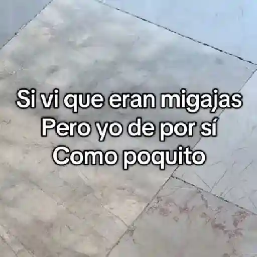 🐦 PALOMA MIGAJERA BAILANDO🐦