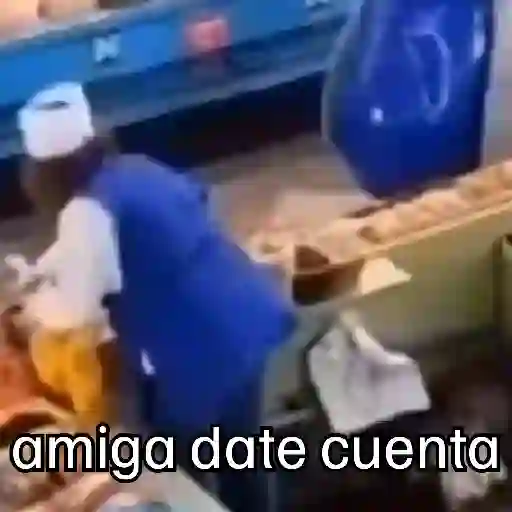 🐦 PALOMA MIGAJERA BAILANDO🐦
