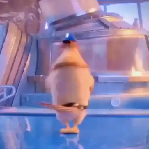 🐦 PALOMA MIGAJERA BAILANDO🐦