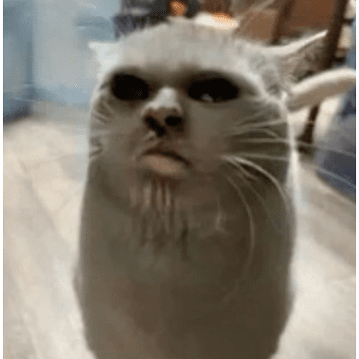 😸 Te lo digo con un gato 😸 preview