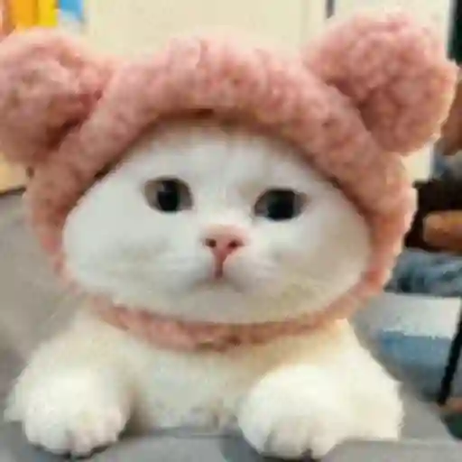 📲UN MIX PAL CHAT 5 📲