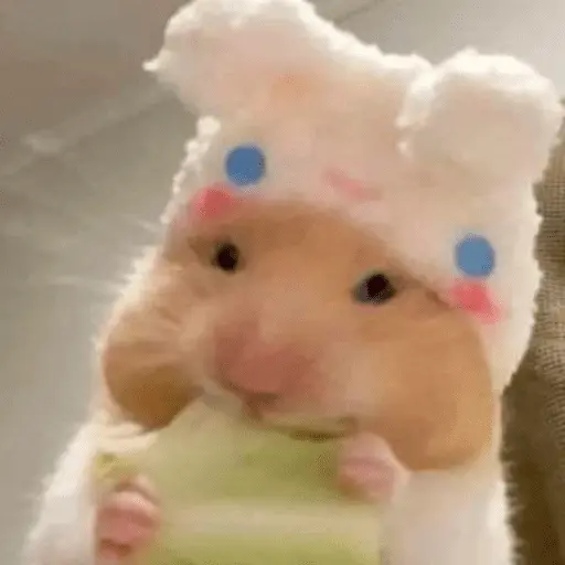 🐹 HAMSTERS MOODCITOS 🐹