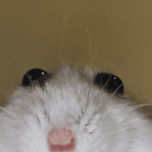 🐹 HAMSTERS MOODCITOS 🐹 preview