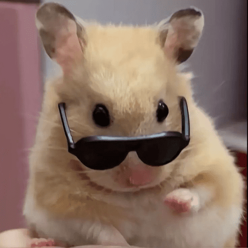 🐹 HAMSTERS MOODCITOS 🐹 preview
