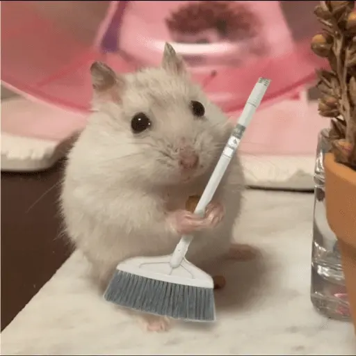 🐹 HAMSTERS MOODCITOS 🐹