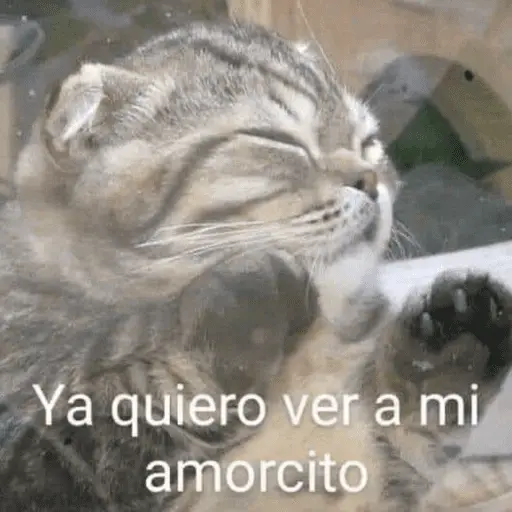 😏 PARA LIGAR 😏