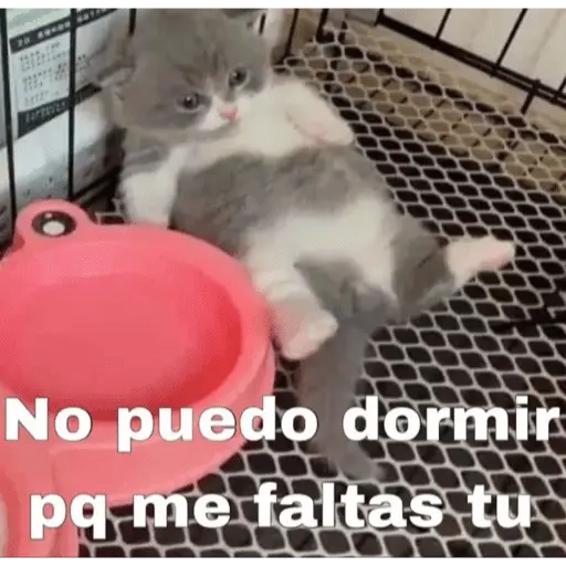 😏 PARA LIGAR 😏
