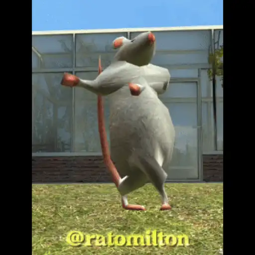 Raton Milton - Bailando 🐀