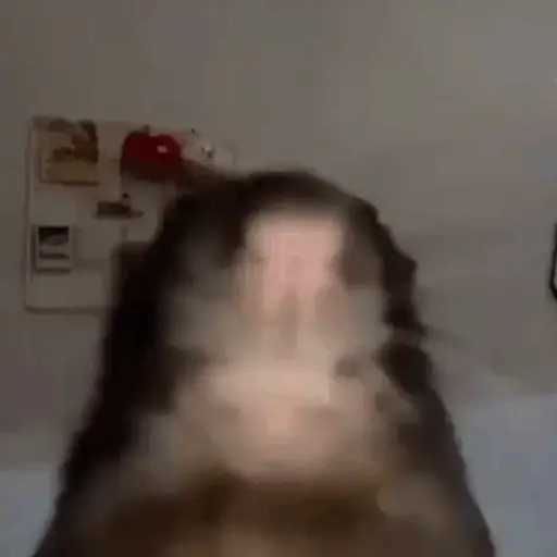 🐀 RATITAS PAL CHAT 🐀