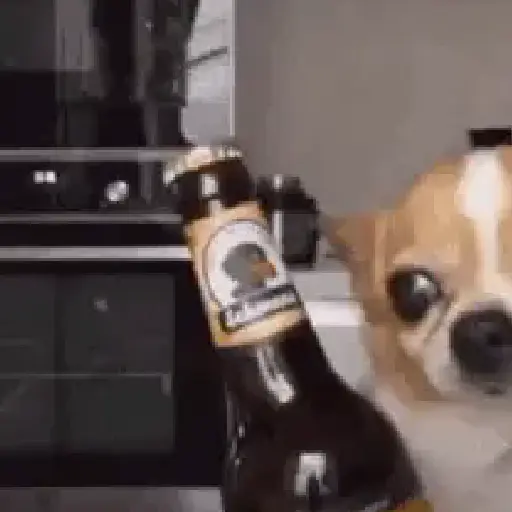 🧿PA LA PEDA🍺🍻🥂🥃