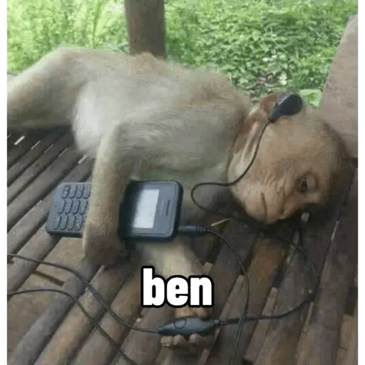 Türk Meme