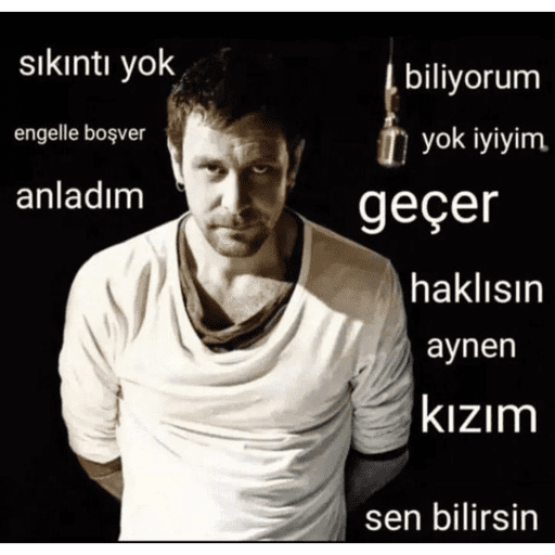 Türk Meme preview