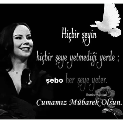 Türk Meme